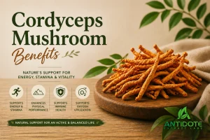 Nano Cordyceps Mushroom Extract Benefits Blog